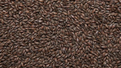 Изображение загружено обработкой